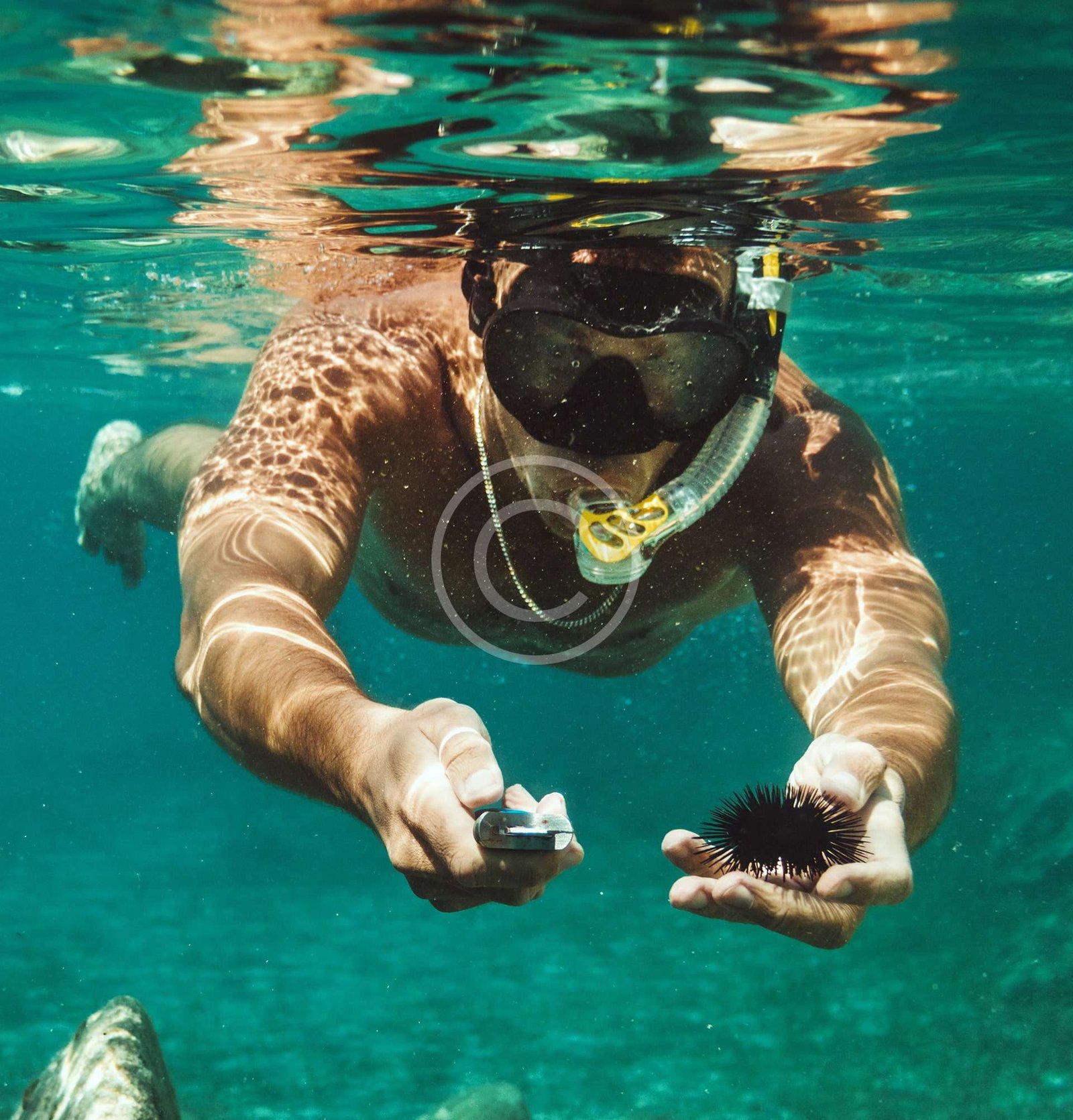 Under the sea, or where to go to experience the best diving